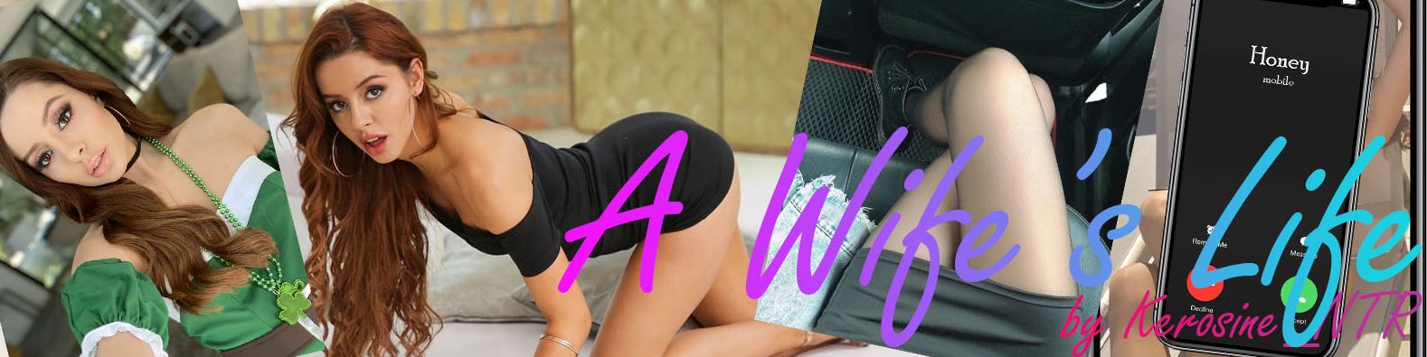 《妻子的生活/A Wifes Life》